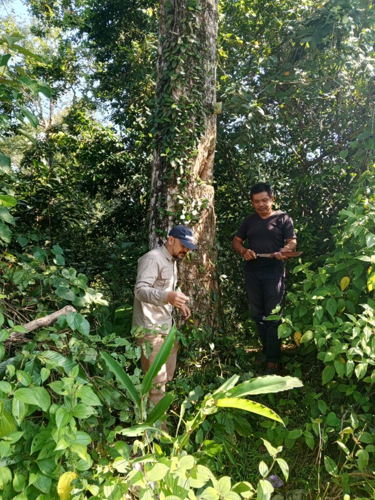 Perkebunan Nuswantara