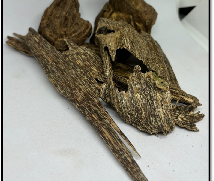 A Grade Agarwood