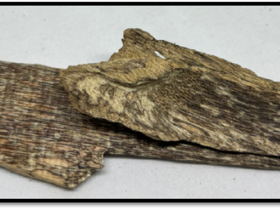 B Grade Agarwood