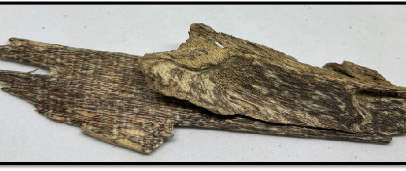 B Grade Agarwood