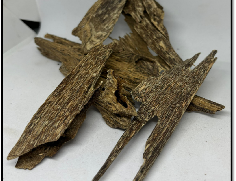 B Grade Agarwood