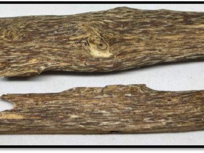 C Grade Agarwood